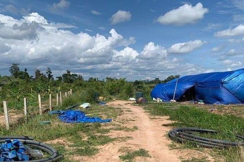 Cán bộ công ty Cao su Bình Dương 'xẻ thịt' đất công cho thuê trục lợi, Giám đốc không hay biết