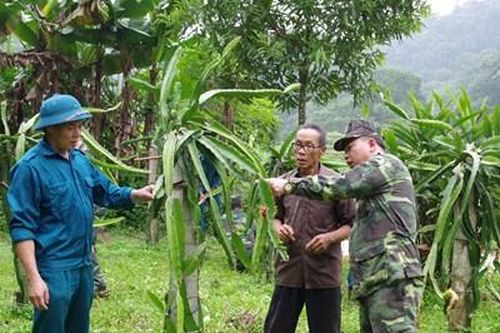 Tỉnh Hòa Bình: Sơ kết xây dựng nền Quốc phòng toàn dân giai đoạn 2009-2019