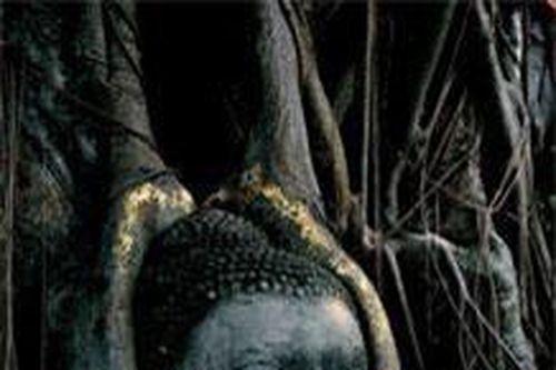 Cận cảnh tượng Phật kỳ lạ nhất thế giới
