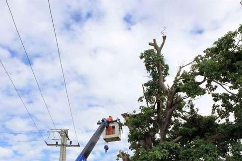 Ngành điện Thừa Thiên Huế: Chủ động phòng, chống sự cố thiên tai trước mùa mưa bão