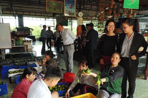Khảo sát hiện trạng phát triển du lịch tại huyện Lai Vung