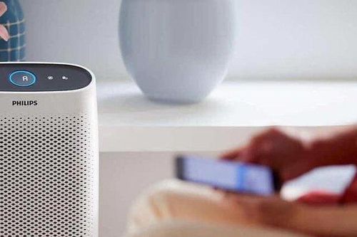 Sắm 'bùa hộ mệnh' để thanh lọc không khí, coi chừng ăn 'quả đắng'
