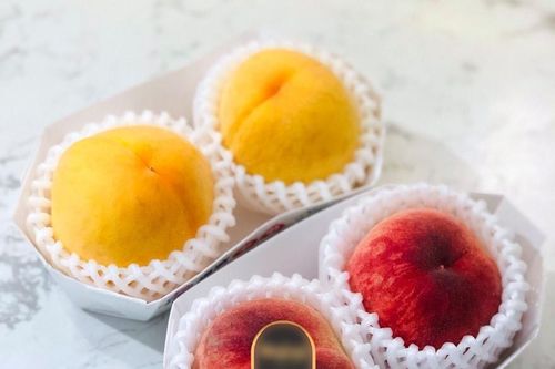 Gần 1 triệu đồng cặp đào tiên Nhật Bản ở Việt Nam