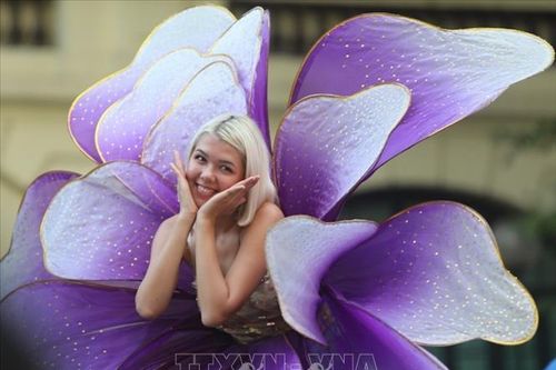Sôi động Carnival đường phố tại phố đi bộ Hồ Gươm