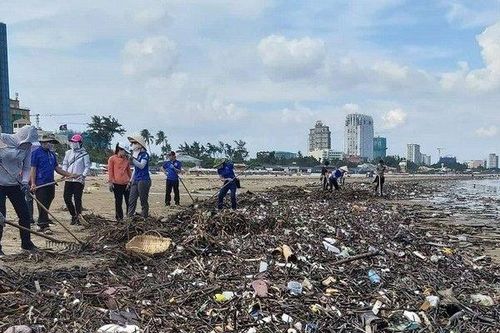 Hàng chục tấn rác bất ngờ 'tấn công' bờ biển Vũng Tàu sau một đêm, công nhân gồng mình thu gom