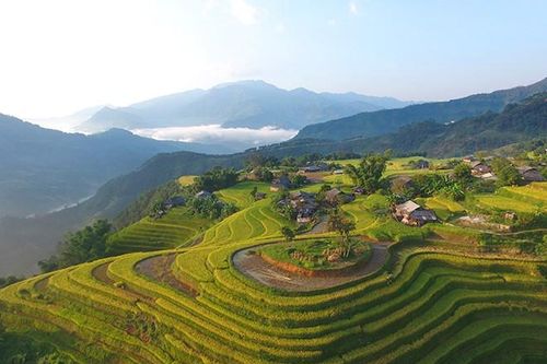 Mùa vàng Hoàng Su Phì qua ống kính flycam