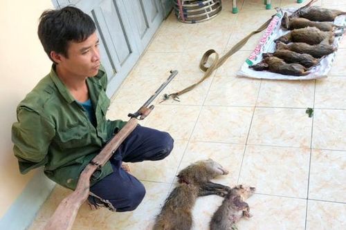 Tạm giữ kẻ săn bắt động vật nguy cấp, quý hiếm