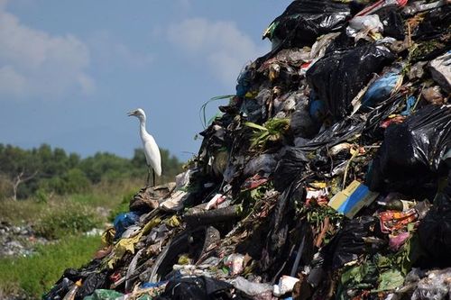 Hội An 'mắc kẹt' với núi rác khổng lồ