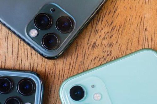 Bí kíp chụp ảnh đẹp của iPhone 11