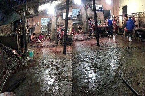 Bán thịt bò gây ô nhiễm, một người phụ nữ ở Huế bị phạt 70 triệu đồng
