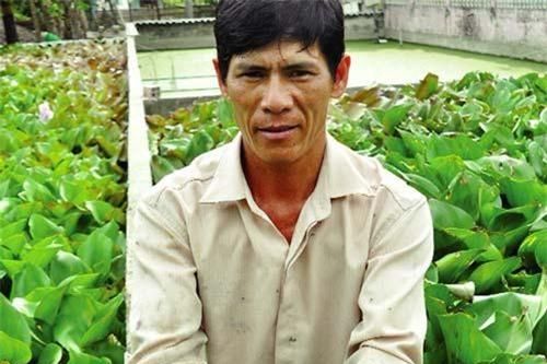 Nuôi la liệt, lổm ngổm ba ba dưới ao bèo mà thành 'vua' ở đất Mũi