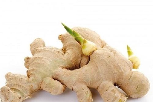 7 loại củ mọc mầm cực độc tàn phá gan, có thể gây chết người