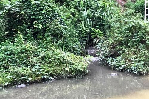 Vụ nước sạch sông Đà bị nhiễm dầu: Điều khó tránh khỏi