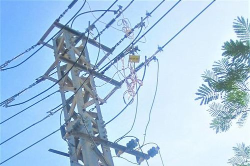 PC Khánh Hòa: Phát động phong trào thi đua 'Gia đình tiết kiệm điện tiêu biểu năm 2019'