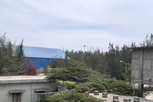 Quảng Ngãi: Phương án 'thay đổi' số phận khốn khổ cho 2.000 hộ dân với kinh phí gần 1.000 tỷ đồng