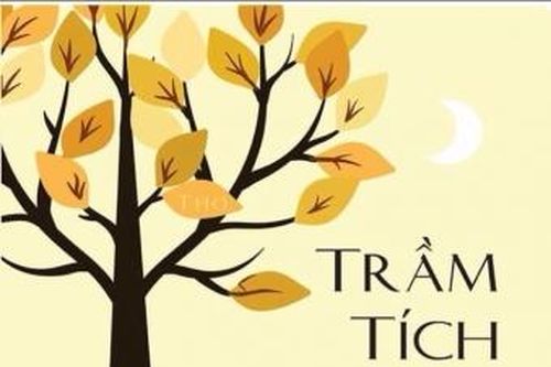 Hai tập thơ của hai tác giả nữ