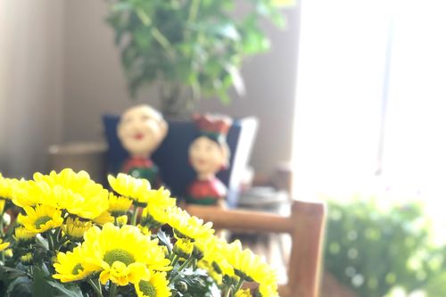 Ngay cả mùa thu cũng dịu dàng