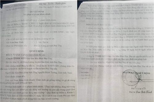 Gia cầm Hòa Phát Phú Thọ xả thải 'bức tử' môi trường, dân 'khốn khổ' thế nào?