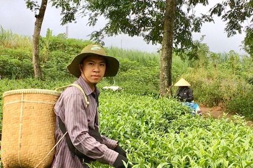 Hòa Trung đẩy mạnh sản xuất nông nghiệp bền vững