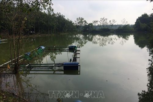 Tìm thấy thi thể người đàn ông bị đuối nước mất tích khi chìm bè phao