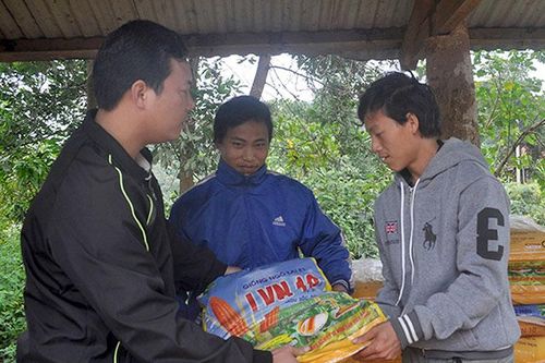 Mường Nhé đẩy mạnh sản xuất nông nghiệp