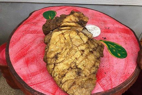 Đi bộ trên bãi biển, ngư dân vấp phải 'cục nôn' cá voi giá hơn 7,4 tỷ đồng