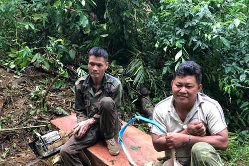 Gia Lai: Bắt quả tang 2 'lâm tặc' đang khai thác gỗ trái phép