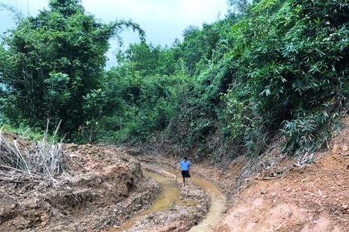 Vụ nước sông Đà bị nhiễm dầu: Suối Trâm giờ ra sao?