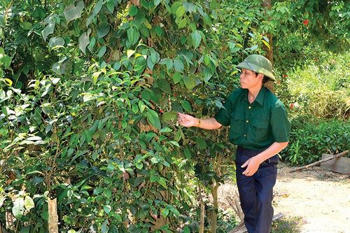Những điểm tựa của bản làng