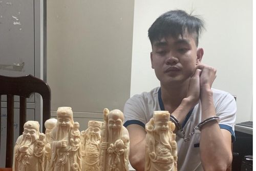 Mua bán 6 tượng ngà voi, 2 thanh niên bị phạt tù