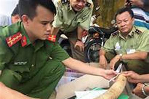 Phát hiện hành khách mang ngà voi, trầm hương từ Thái Lan về Việt Nam