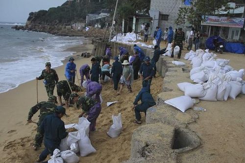 Quân và dân Bình Định chung sức gia cố kè biển