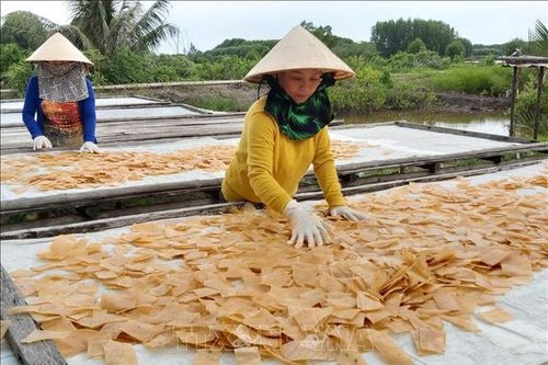 Cà Mau đổi mới công tác đào tạo nghề cho lao động nông thôn - Bài cuối: Gỡ khó bằng nhiều giải pháp phù hợp