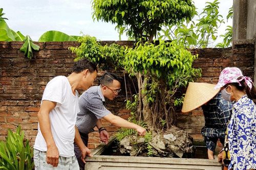 Hà Đông khống chế dịch sốt xuất huyết, bài học từ một chính quyền gần dân
