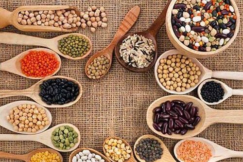Olam tận dụng cơ hội tăng xuất khẩu nông sản Việt Nam sang châu Á