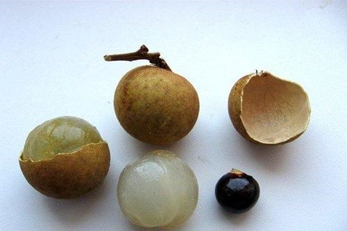 Thương tâm bé trai 2 tuổi tử vong do hóc hạt nhãn