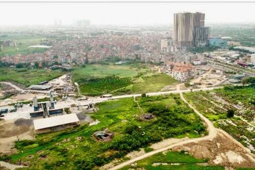 Đề xuất khẩn cấp 'cứu' di chỉ khảo cổ học Vườn Chuối (Hà Nội)
