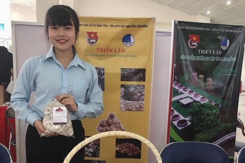 Sử dụng vỏ cà phê để trồng nấm bào ngư