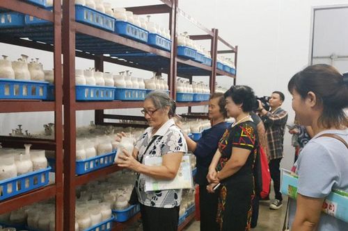 Ngành Nông nghiệp: Tăng cường quản lý vệ sinh an toàn thực phẩm