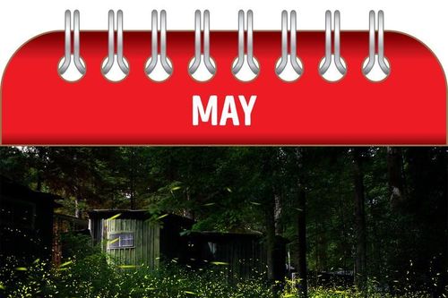 12 hiện tượng tự nhiên hiếm gặp chỉ xuất hiện một lần trong năm (P1)