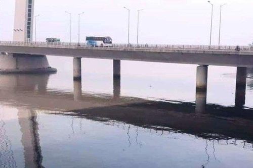 Đà Nẵng: Công bố nguyên nhân sông Hàn bị 'đầu độc'