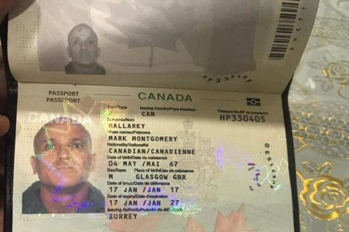 Tích cực tìm kiếm người đàn ông Canada mất tích ở bán đảo Sơn Trà