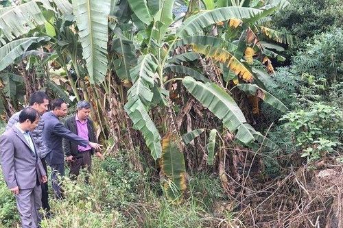 Thu hoạch cà phê gây ô nhiễm ở Sơn La, nhà máy ngừng cấp nước, hàng ngàn hộ dân ảnh hưởng