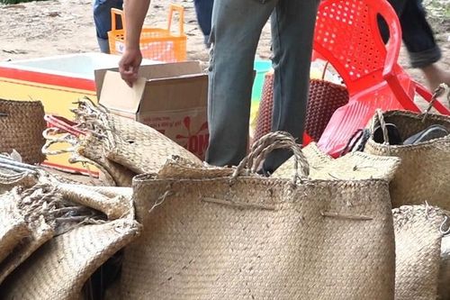 Bắt quả tang trên 60 đối tượng đá gà ăn tiền ở Cà Mau