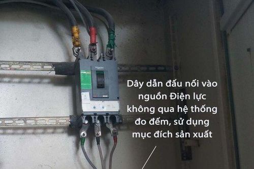 'Bắt tay' câu trộm điện, hai người hàng xóm nhận 'án' hơn 100 triệu đồng