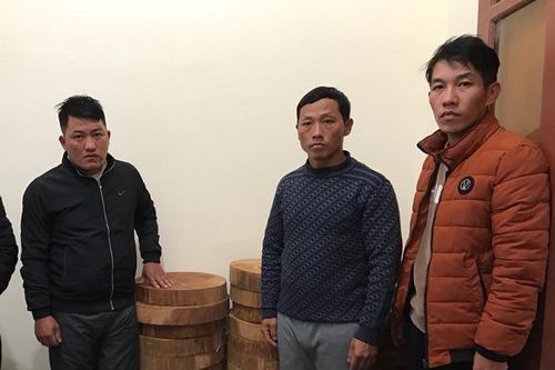 Bắt giam ba lâm tặc chặt hạ 2 cây gỗ nghiến tại Vườn quốc gia Ba Bể