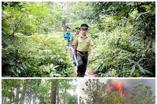 Các địa phương tăng cường phòng cháy, chữa cháy rừng