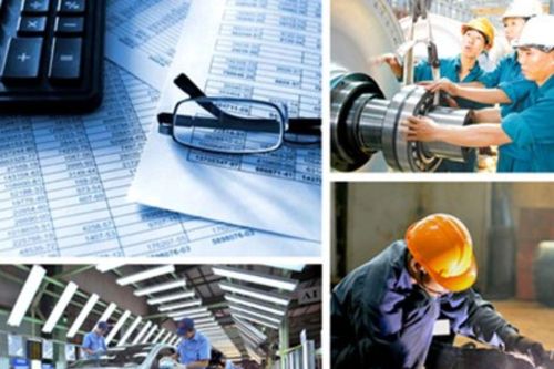 BCĐ Đổi mới và Phát triển DN có 15 thành viên