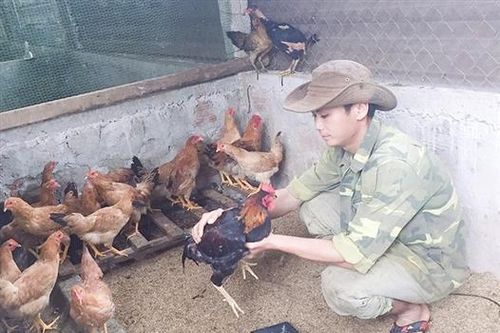 Về quê lập nghiệp, làm giàu