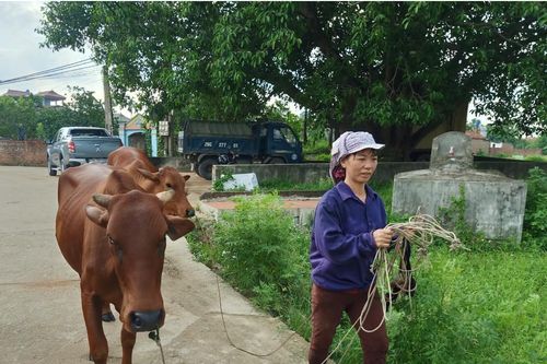 Chương trình tín dụng vay vốn: Rút ngắn khoảng cách giữa các vùng